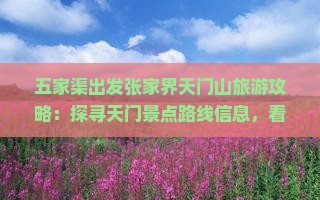 五家渠出发张家界天门山旅游攻略：探寻天门景点路线信息，看看哪里值得游玩，旅行社专业推荐