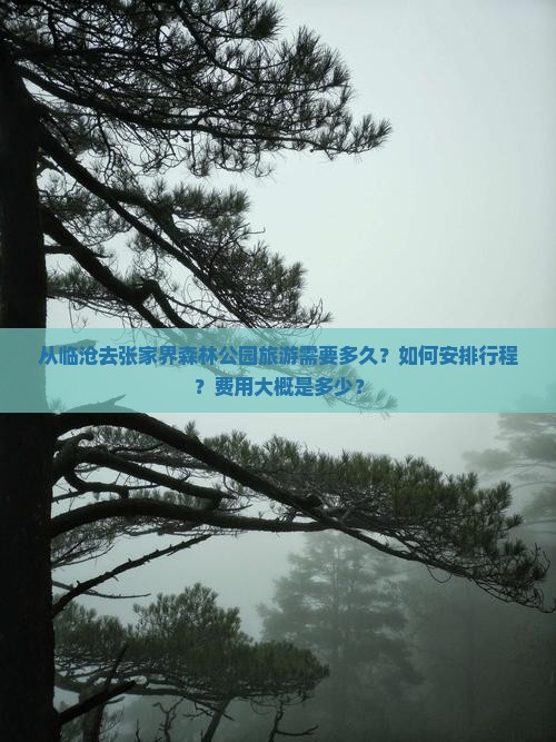从临沧去张家界森林公园旅游需要多久？如何安排行程？费用大概是多少？