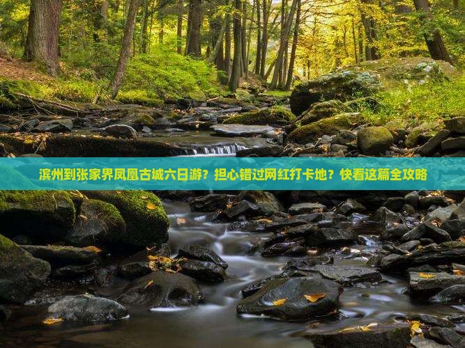 滨州到张家界凤凰古城六日游？担心错过网红打卡地？快看这篇全攻略