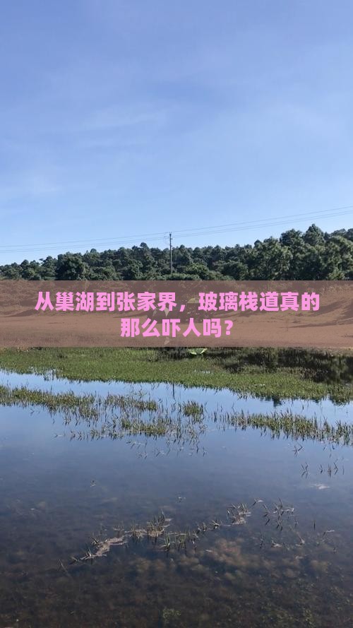 从巢湖到张家界，玻璃栈道真的那么吓人吗？