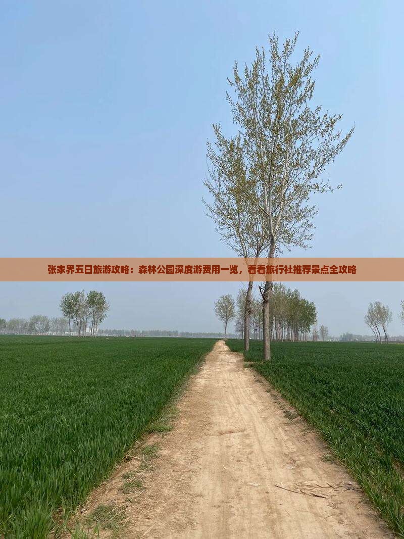 张家界五日旅游攻略：森林公园深度游费用一览，看看旅行社推荐景点全攻略