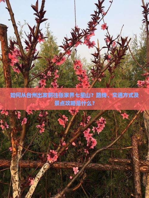如何从台州出发前往张家界七星山？路线、交通方式及景点攻略是什么？
