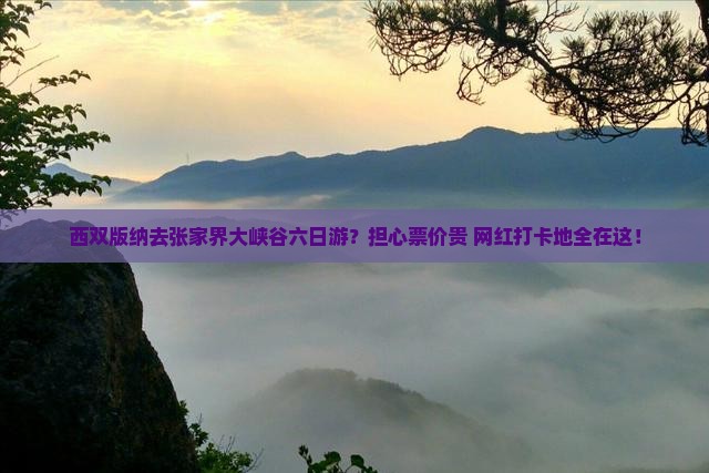 西双版纳去张家界大峡谷六日游？担心票价贵+网红打卡地全在这！