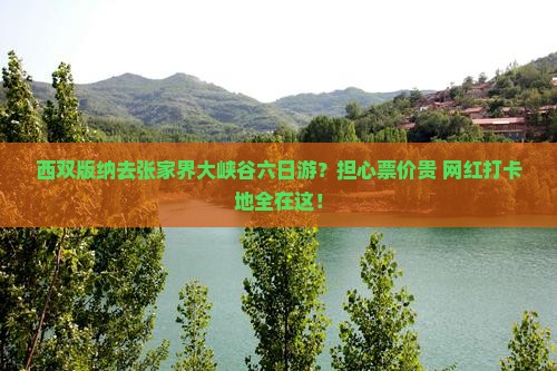 西双版纳去张家界大峡谷六日游？担心票价贵+网红打卡地全在这！