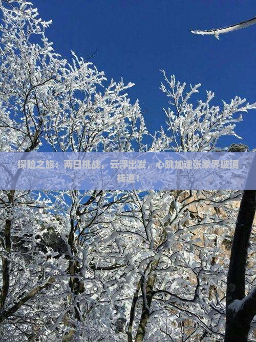 探险之旅：两日挑战，云浮出发，心跳加速张家界玻璃栈道！