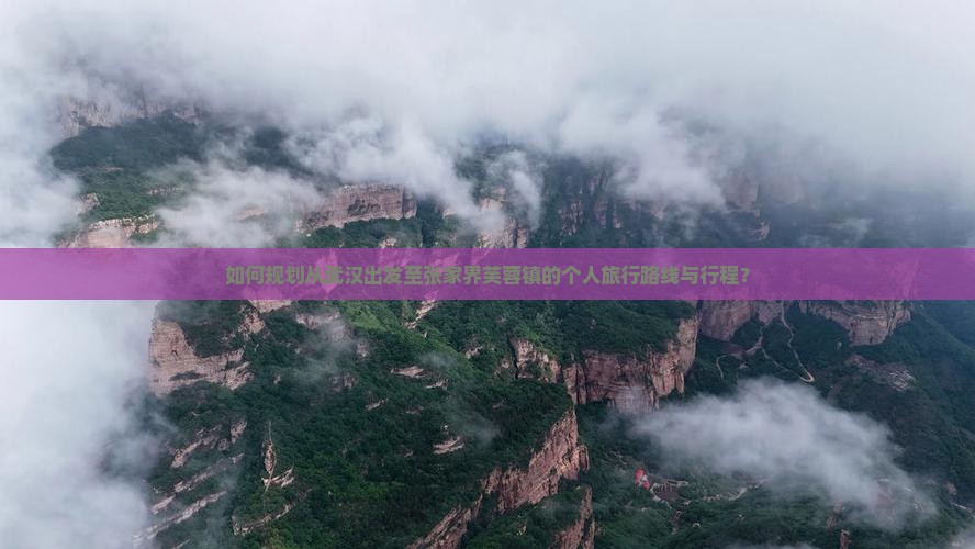如何规划从武汉出发至张家界芙蓉镇的个人旅行路线与行程？