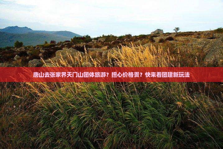 唐山去张家界天门山团体旅游？担心价格贵？快来看团建新玩法