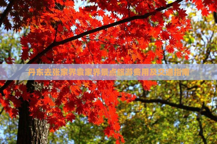 丹东去张家界袁家界景点旅游费用及交通指南