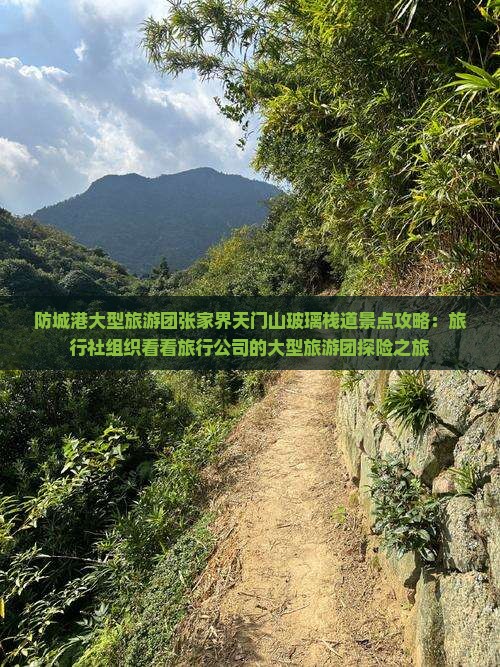 防城港大型旅游团张家界天门山玻璃栈道景点攻略：旅行社组织看看旅行公司的大型旅游团探险之旅