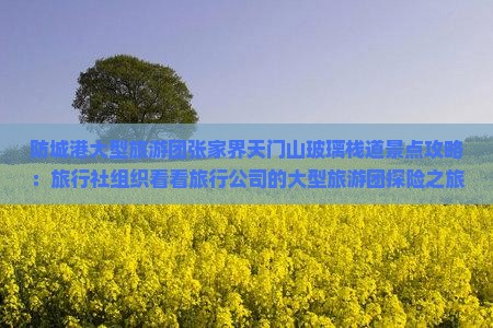 防城港大型旅游团张家界天门山玻璃栈道景点攻略：旅行社组织看看旅行公司的大型旅游团探险之旅