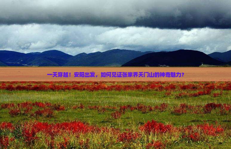 一天穿越！安阳出发，如何见证张家界天门山的神奇魅力？