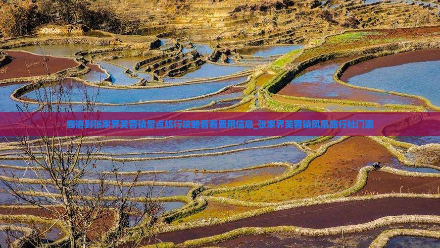 商洛到张家界芙蓉镇景点旅行攻略看看费用信息_张家界芙蓉镇凤凰旅行社门票