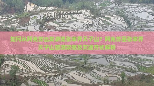 如何从阿克苏出发游览张家界天子山？阿克苏至张家界天子山旅游攻略及交通方式解析