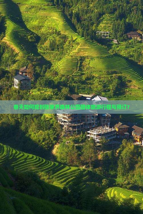 春天如何规划张家界森林公园团体旅游行程与预订？