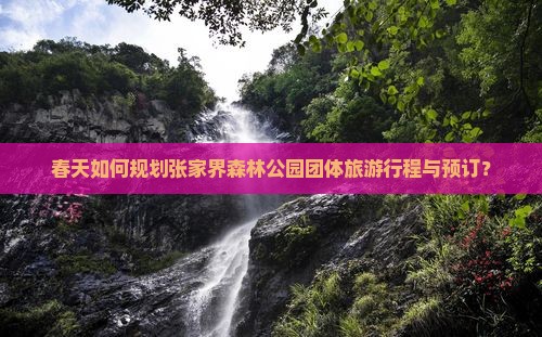 春天如何规划张家界森林公园团体旅游行程与预订？