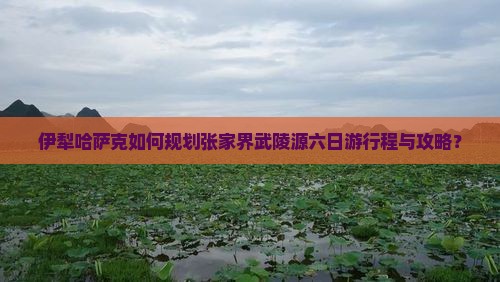 伊犁哈萨克如何规划张家界武陵源六日游行程与攻略？