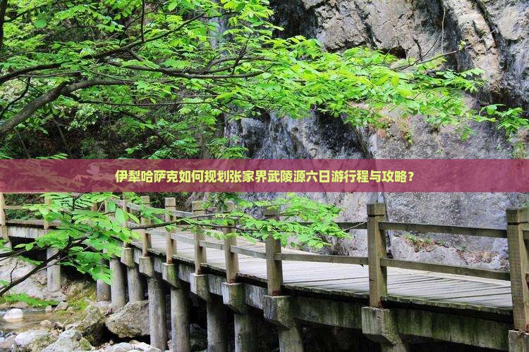 伊犁哈萨克如何规划张家界武陵源六日游行程与攻略？