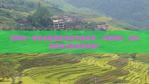 如何在一月份全面游览张家界袁家界：行程规划、住宿推荐及当地特色体验？