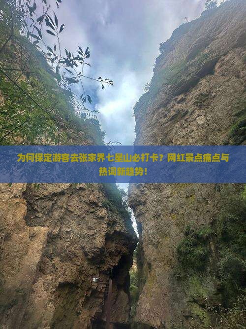 为何保定游客去张家界七星山必打卡？网红景点痛点与热词新趋势！