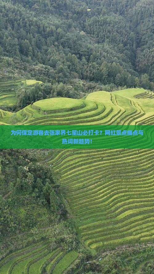 为何保定游客去张家界七星山必打卡？网红景点痛点与热词新趋势！