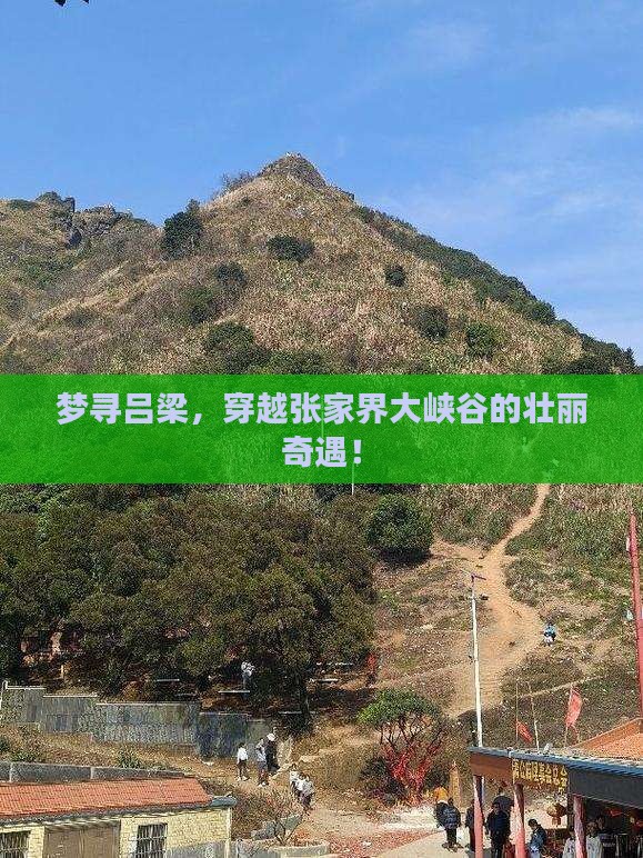 梦寻吕梁，穿越张家界大峡谷的壮丽奇遇！