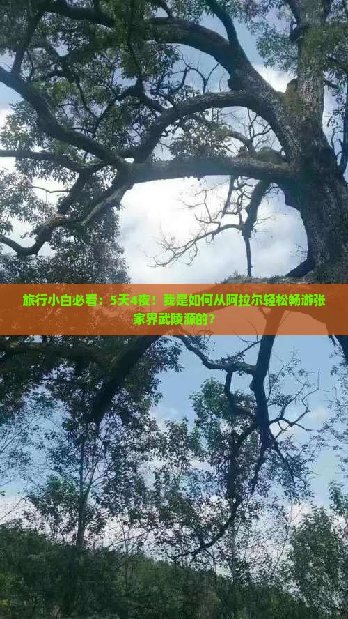 旅行小白必看：5天4夜！我是如何从阿拉尔轻松畅游张家界武陵源的？