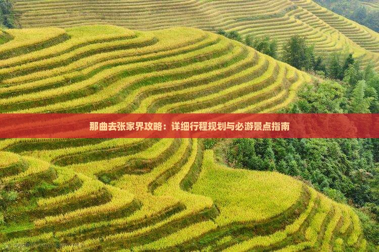那曲去张家界攻略：详细行程规划与必游景点指南