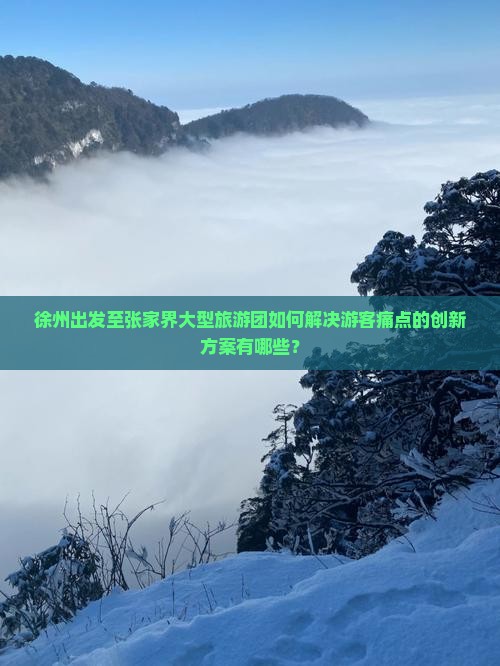 徐州出发至张家界大型旅游团如何解决游客痛点的创新方案有哪些？