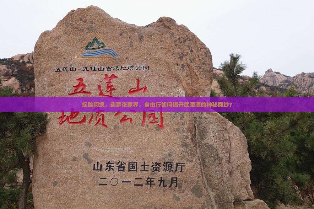 探险阿坝，迷梦张家界，自由行如何揭开武陵源的神秘面纱？