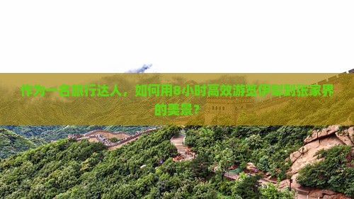 作为一名旅行达人，如何用8小时高效游览伊犁到张家界的美景？