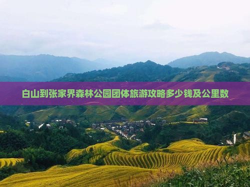 白山到张家界森林公园团体旅游攻略多少钱及公里数