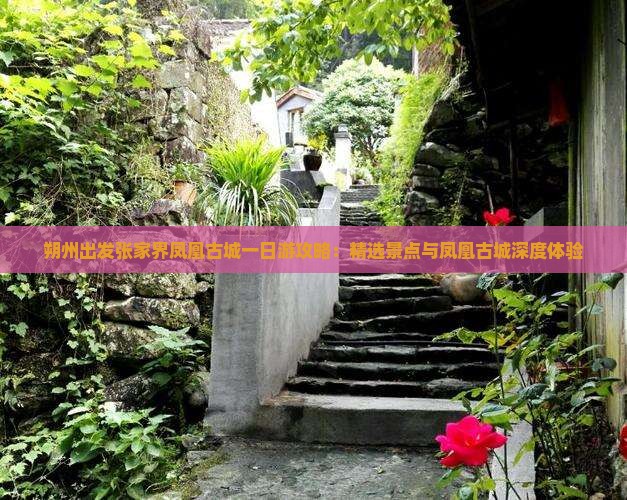 朔州出发张家界凤凰古城一日游攻略：精选景点与凤凰古城深度体验