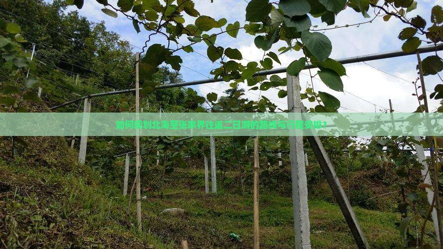 如何规划北海至张家界往返二日游的路线与行程安排？