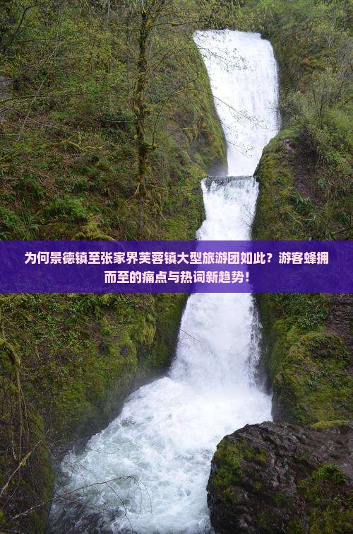 为何景德镇至张家界芙蓉镇大型旅游团如此？游客蜂拥而至的痛点与热词新趋势！