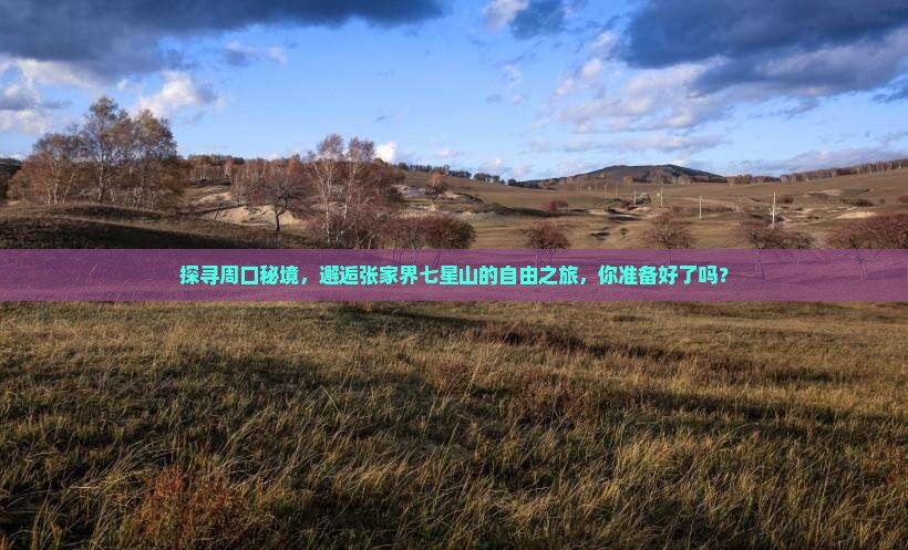 探寻周口秘境，邂逅张家界七星山的自由之旅，你准备好了吗？