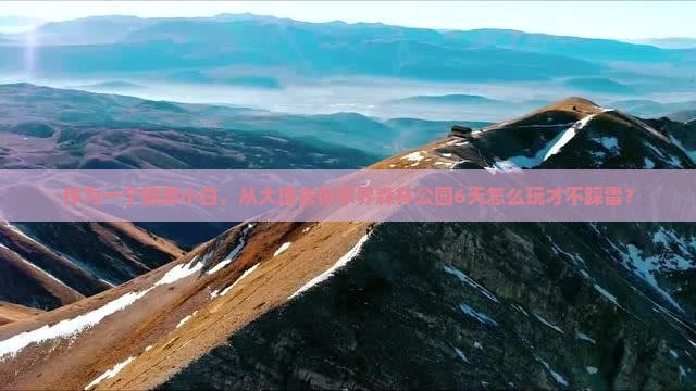 作为一个旅游小白，从大理去张家界森林公园6天怎么玩才不踩雷？