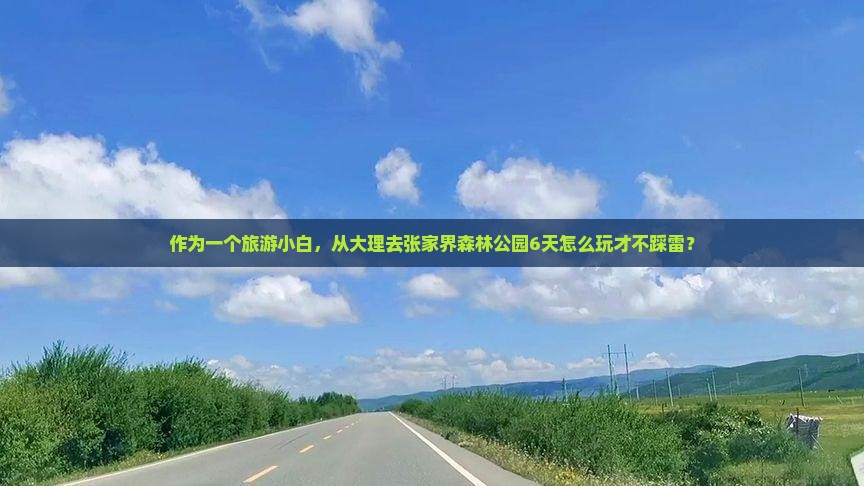 作为一个旅游小白，从大理去张家界森林公园6天怎么玩才不踩雷？