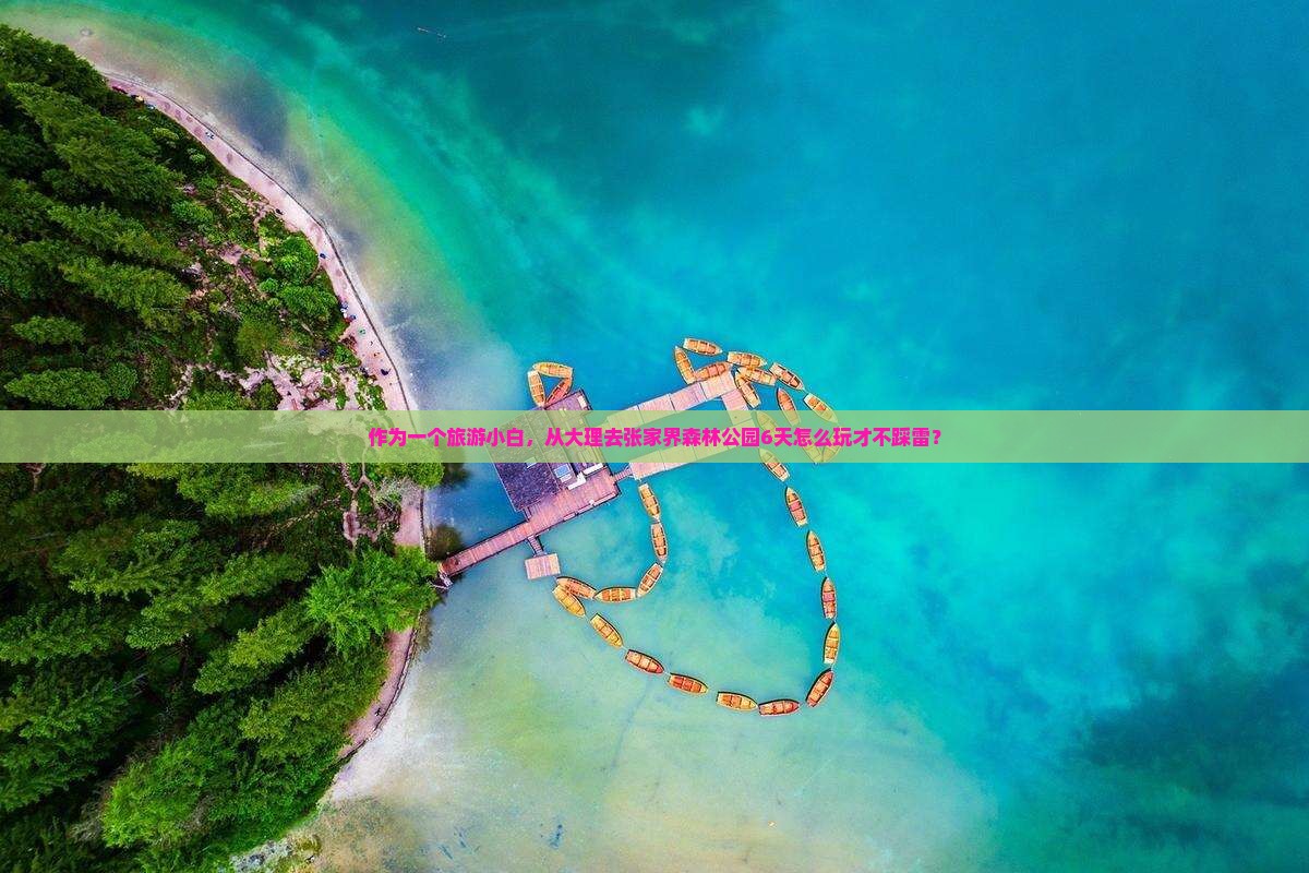 作为一个旅游小白，从大理去张家界森林公园6天怎么玩才不踩雷？