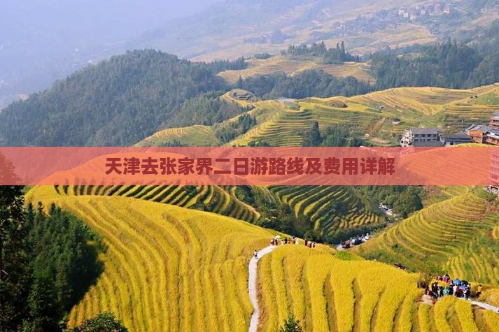 天津去张家界二日游路线及费用详解