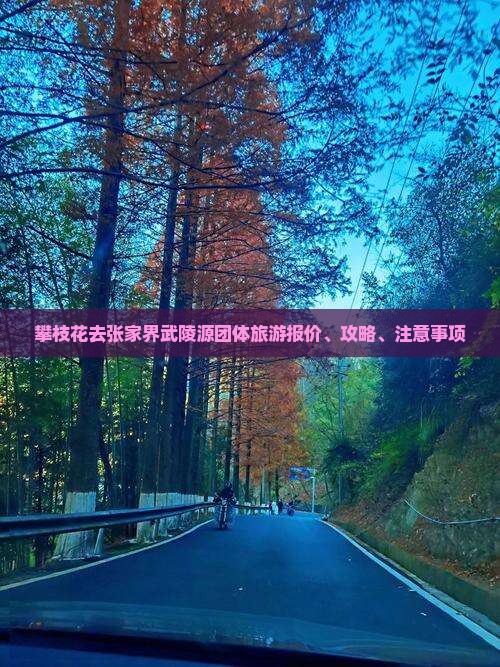 攀枝花去张家界武陵源团体旅游报价、攻略、注意事项