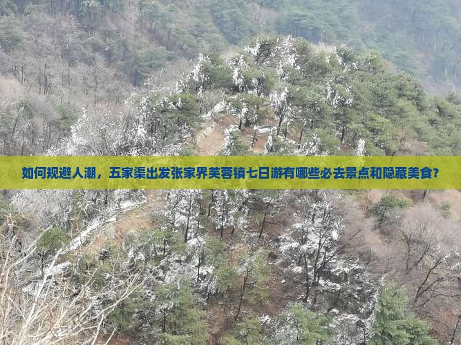 如何规避人潮，五家渠出发张家界芙蓉镇七日游有哪些必去景点和隐藏美食？