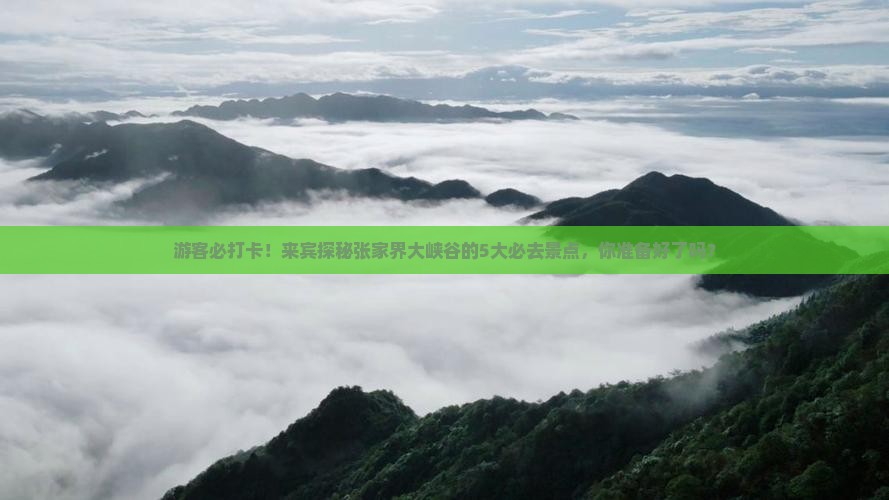 游客必打卡!来宾探秘张家界大峡谷的5大必去景点,你准备好了吗? 游客必打卡!来宾探秘张家界大峡谷的5大必去景点,你准备好了吗?