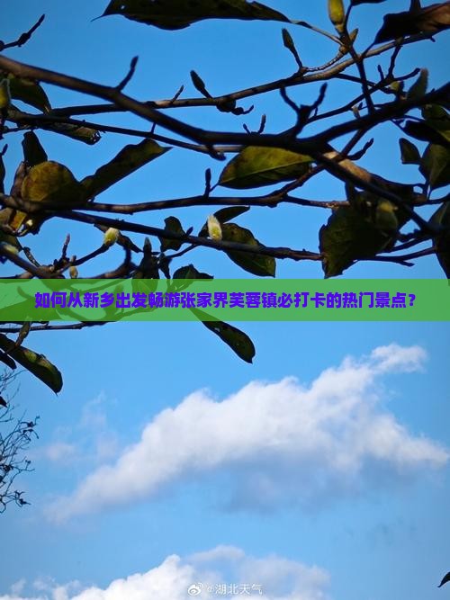 如何从新乡出发畅游张家界芙蓉镇必打卡的热门景点？