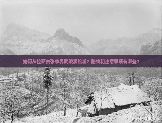 如何从拉萨去张家界武陵源旅游？路线和注意事项有哪些？