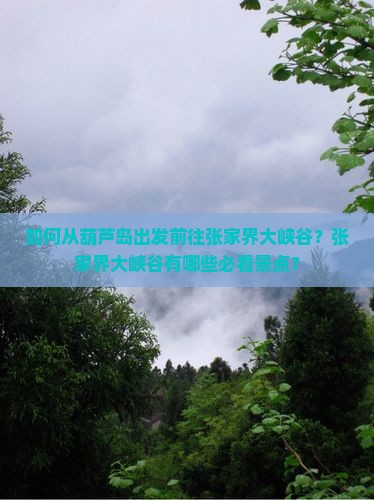如何从葫芦岛出发前往张家界大峡谷？张家界大峡谷有哪些必看景点？