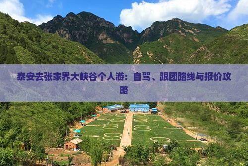 泰安去张家界大峡谷个人游：自驾、跟团路线与报价攻略