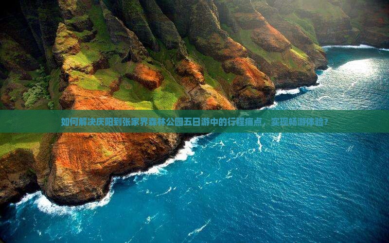 如何解决庆阳到张家界森林公园五日游中的行程痛点，实现畅游体验？