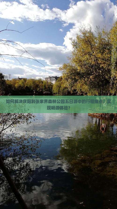 如何解决庆阳到张家界森林公园五日游中的行程痛点，实现畅游体验？