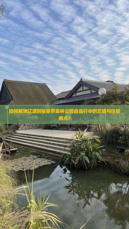如何解决辽源到张家界森林公园自由行中的交通与住宿痛点？