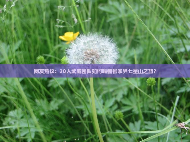 网友热议：20人武威团队如何嗨翻张家界七星山之旅？